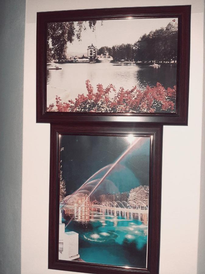Krivokapic Apartment Златибор Екстериор снимка